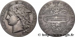 TERZA REPUBBLICA FRANCESE Médaille de récompense, Commission permanente des valeurs de douanes