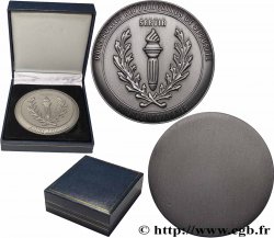 V REPUBLIC Médaille, Compagnies républicaines de sécurité