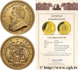 1 MILLION DOLLAR SERIES Médaille, Reproduction monnaie, 1 livre Afrique du Sud