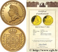 1 MILLION DOLLAR SERIES Médaille, Reproduction monnaie, Réal or Pierre Ier