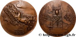 FUNFTE FRANZOSISCHE REPUBLIK Médaille, Traité de Rome, Communauté économique européenne