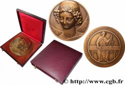 TROISIÈME RÉPUBLIQUE Médaille, Le sourire