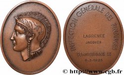 CINQUIÈME RÉPUBLIQUE Médaille, Inspection générale des finances
