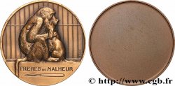 TROISIÈME RÉPUBLIQUE Médaille, Frères de malheur