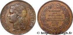 III REPUBLIC Médaille, Exposition universelle de Paris