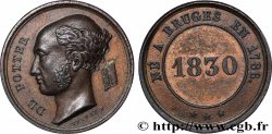 BELGIUM Médaille, Louis Antoine de Potter de Droogenwalle