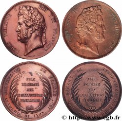 LOUIS-PHILIPPE Ier Lot de 2 médailles, Prix aux instituteurs primaires, Académie d’Aix