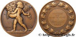 TERZA REPUBBLICA FRANCESE Médaille, Le printemps, Association des maires de France