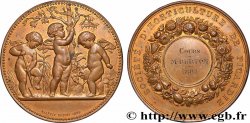 III REPUBLIC Médaille, Société d’Horticulture de Picardie