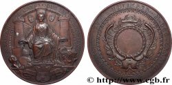 PAYS-BAS - PROVINCES-UNIES - HOLLANDE - GUILLAUME VPAYS-BAS - PROVINCES-UNIES - HOLLANDE - GUILLAUME V Médaille, Beaux-arts AU