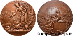 V REPUBLIC Médaille, Aviculture, refrappe
