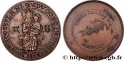 CINQUIÈME RÉPUBLIQUE Médaille, Congrès de la Fédération des Associations de Marins et Marins Anciens Combattants