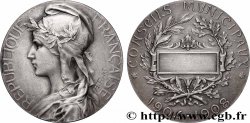 III REPUBLIC Médaille, Conseils municipaux