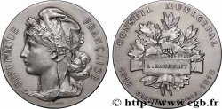 III REPUBLIC Médaille, Conseil Municipal