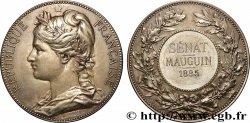 III REPUBLIC Médaille, Sénat, Alexandre Mauguin