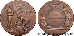 III REPUBLIC Médaille, Comice agricole
