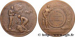 TROISIÈME RÉPUBLIQUE Médaille, Comice agricole et société d’agriculture