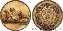 TERZA REPUBBLICA FRANCESE Médaille, Agriculture, Syndicat agricole départemental de la Charente-Inférieure