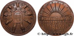 V REPUBLIC Médaille, Première élection à l’Assemblée Européenne AU