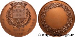 VILLES ET MAIRIES Médaille, Ville de Chalon-sur-Saône