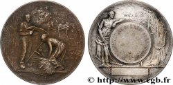 TERZA REPUBBLICA FRANCESE Médaille, Comice agricole 