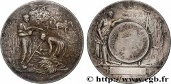 III REPUBLIC Médaille, Comice agricole 