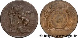 TROISIÈME RÉPUBLIQUE Médaille, Comice agricole 