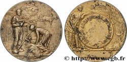 TROISIÈME RÉPUBLIQUE Médaille, Comice agricole 