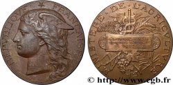 TROISIÈME RÉPUBLIQUE Médaille, Comice agricole