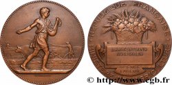 III REPUBLIC Médaille, Associations agricoles