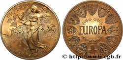 V REPUBLIC Europa, Projet