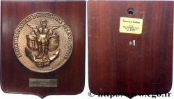 V REPUBLIC Médaille, Tape de bouche, Éléments Français d’Assistance Opérationnelle