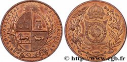 URUGUAY Médaille, État oriental de Uruguay