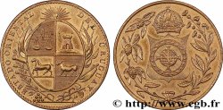 URUGUAY Médaille, État oriental de Uruguay