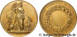 SOCIÉTÉS D&nbsp;AGRICULTURE, HORTICULTURE, PÊCHE ET CHASSE Médaille, Société vigneronne et forestière de Troyes