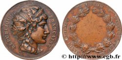 TROISIÈME RÉPUBLIQUE Médaille, L’Union, Société mixte de tir