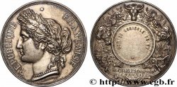 SOCIÉTÉS D&nbsp;AGRICULTURE, HORTICULTURE, PÈCHE ET CHASSE Médaille, Comice Agricole