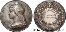 AGRICULTURAL, HORTICULTURAL, FISHING AND HUNTING SOCIETIES Médaille, Comice Agricole