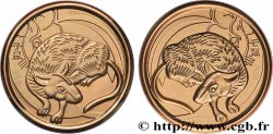 CHINA Médaille, Rat