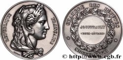 III REPUBLIC Médaille parlementaire, Chambre des députés, IIe législature AU