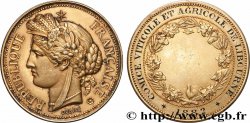 III REPUBLIC Médaille, Comice viticole et agricole