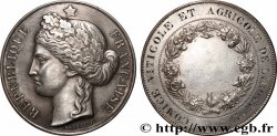 III REPUBLIC Médaille, Comice viticole et agricole