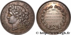 III REPUBLIC Médaille, Pension Saint Pierre, Prix d’honneur