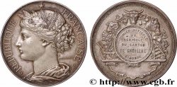 AGRICULTURAL, HORTICULTURAL, FISHING AND HUNTING SOCIETIES Médaille, Comice viticole et agricole 