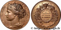SOCIÉTÉS D&nbsp;AGRICULTURE, HORTICULTURE, PÊCHE ET CHASSE Médaille, Comice viticole et agricole 