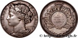 SOCIÉTÉS D&nbsp;AGRICULTURE, HORTICULTURE, PÊCHE ET CHASSE Médaille, Comice viticole et agricole 