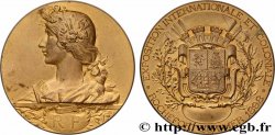 III REPUBLIC Médaille, Exposition internationale et coloniale