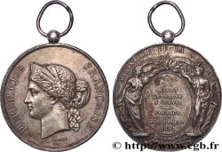 III REPUBLIC Médaille, Courage et Dévouement XF