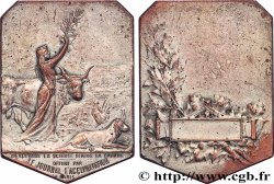 SCIENCES & SCIENTIFIQUES Plaquette, La science dirige la nature