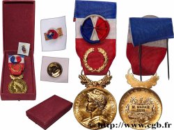 V REPUBLIC Médaille d’honneur du Travail, Ministère du Travail, Grand Or
